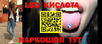 винт Славгород