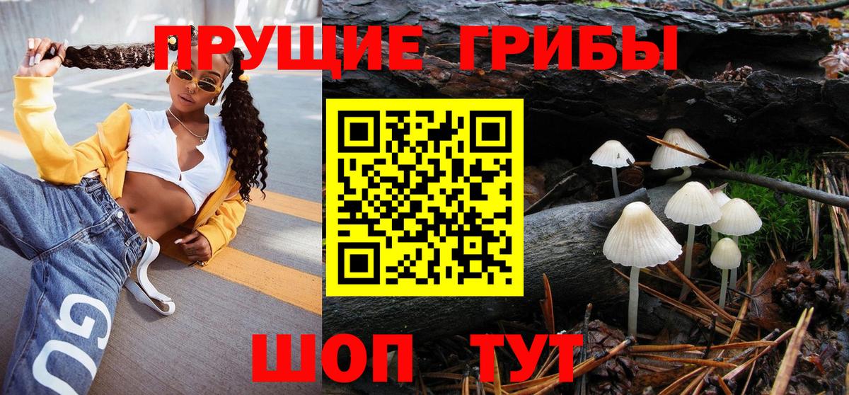 Рязань  Псилоцибиновые грибы GOLDEN TEACHER  Псилоцибиновые грибы мицелий  Вход с VPN 